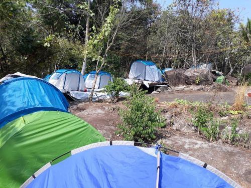 Султан-Батери: Evergreen Tent Stay & Trekking