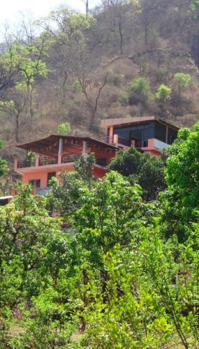 Ришикеш: Holistic stay with Yoga sessions