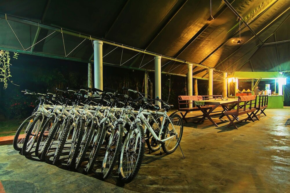 Amritara Riverside Luxury Tents — фото 3