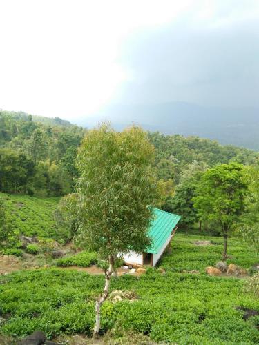 Велламундра: Vythirihills Nature Resort
