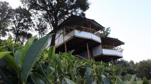 Велламундра: Vythirihills Nature Resort