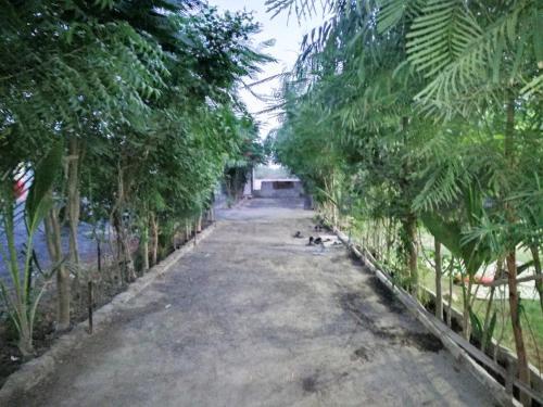 Rann Chandni Village Stay — фото 1