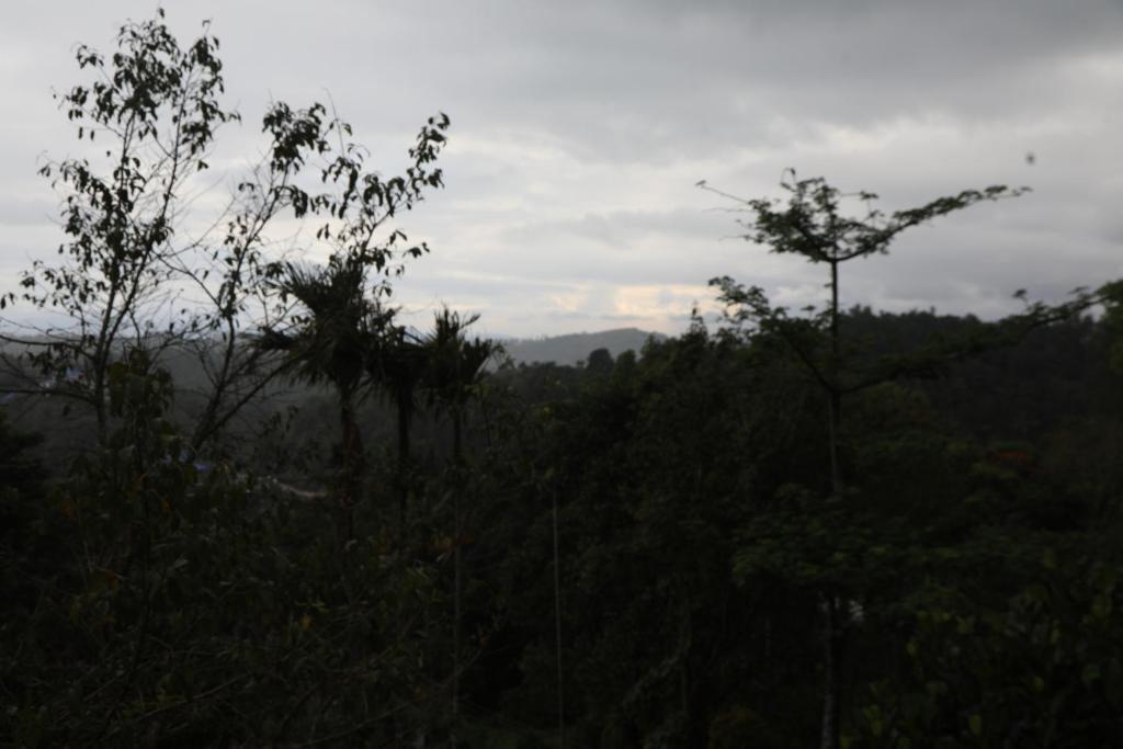 Муннар: Green Pepper Home Stay