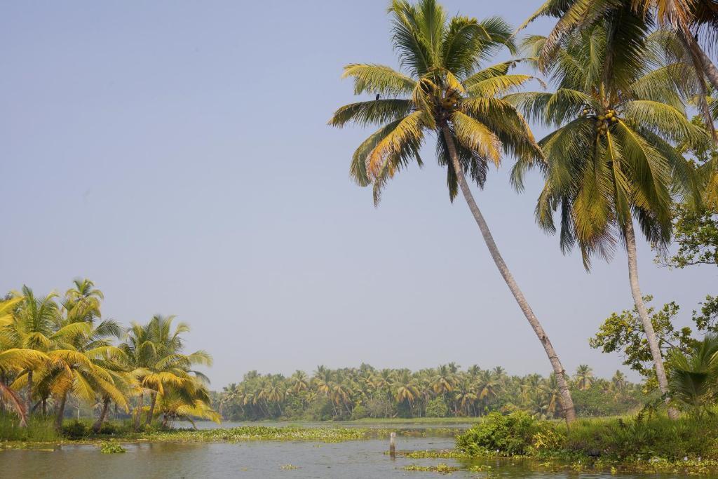 Аллеппи: Kera Houseboats Alleppey