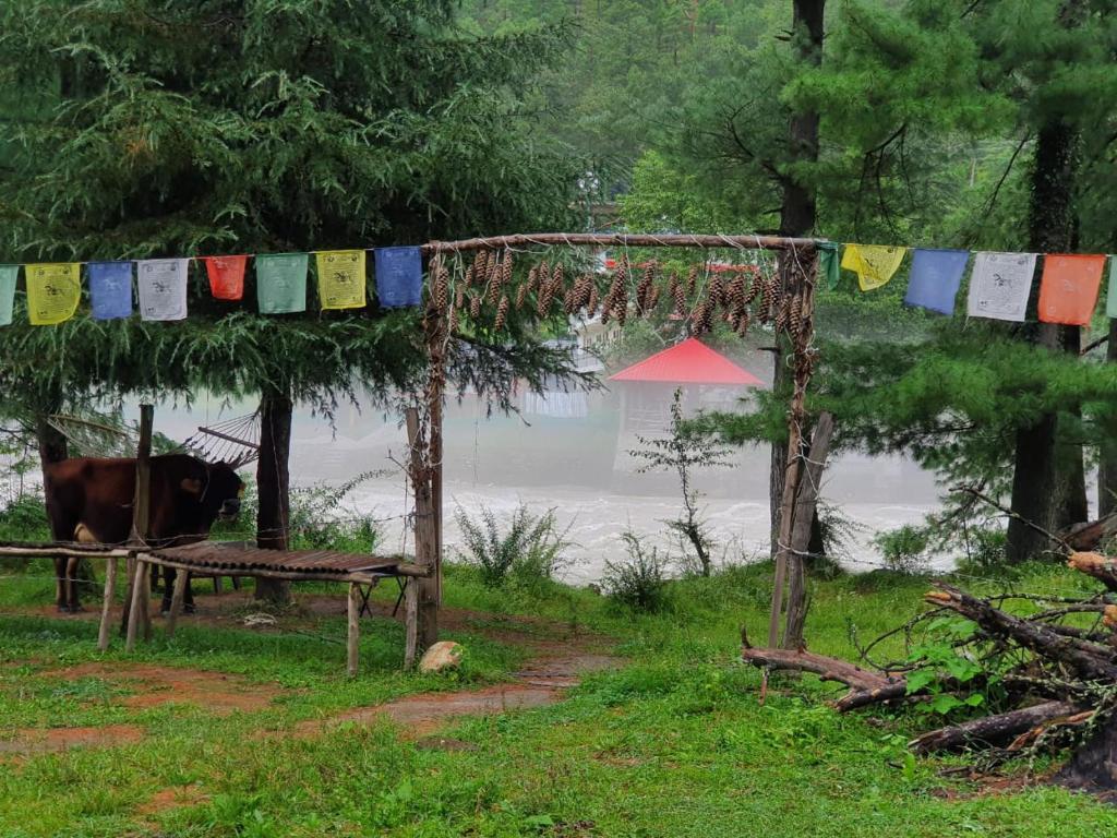 Himtrek Riverside Camps, Kasol — фото 3