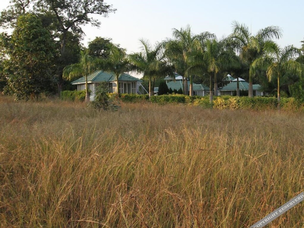 Турья: Village Machaan - Division of V Village Resorts