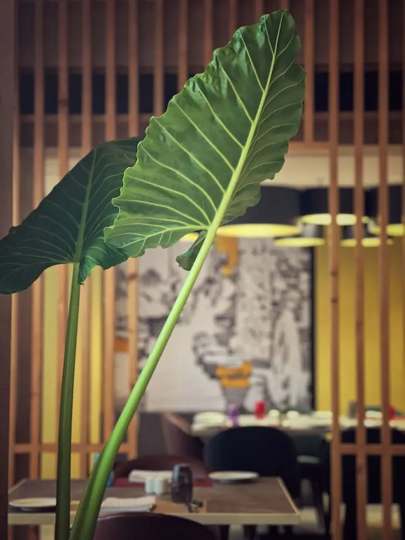 Виджаявада: Hyatt Place Vijayawada