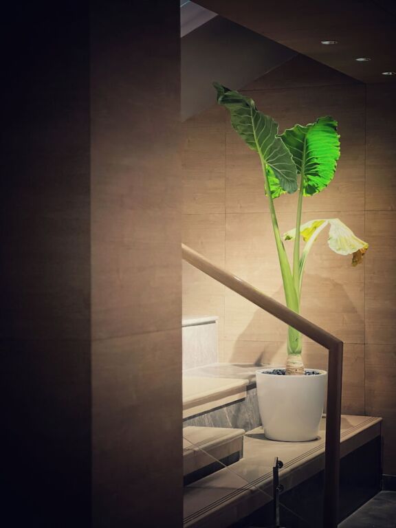 Виджаявада: Hyatt Place Vijayawada