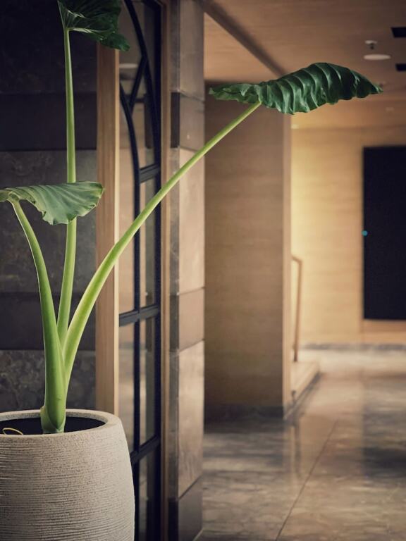 Виджаявада: Hyatt Place Vijayawada