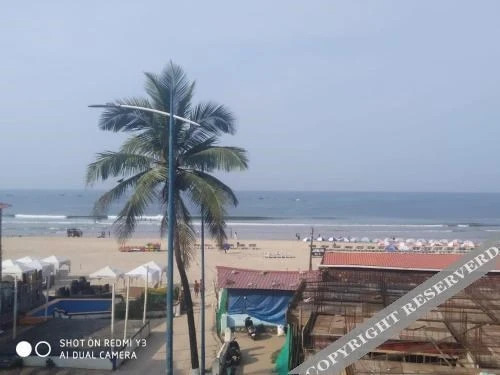 Бага: Baga Beach Exotica