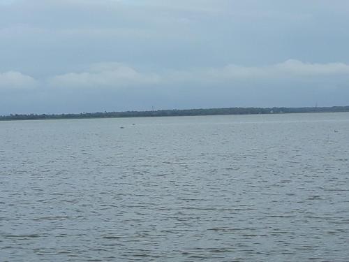 Аллеппи: Houseboat