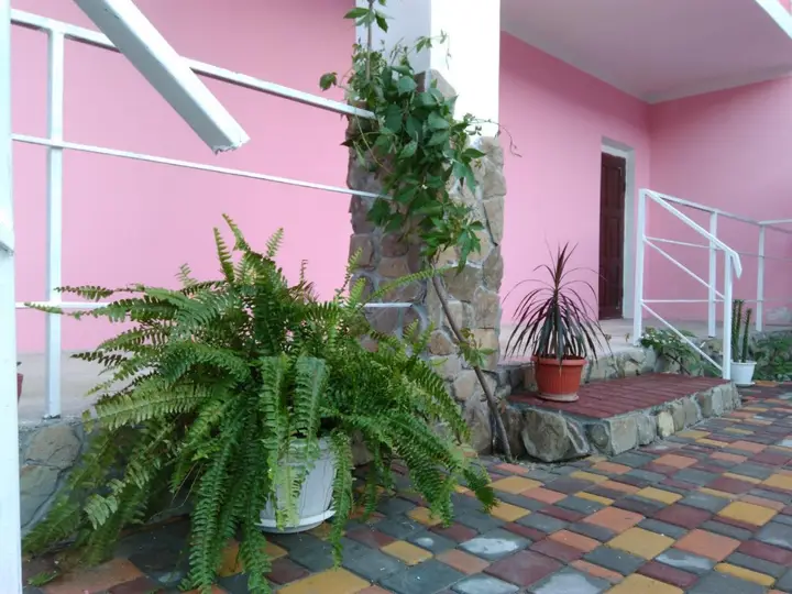 Guest house Flamingo — фото 1
