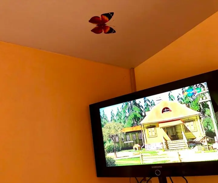 Керчь: Guest House Mini-Hotel