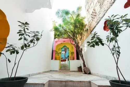 Пушкар: 12 Monks Backpackers Community