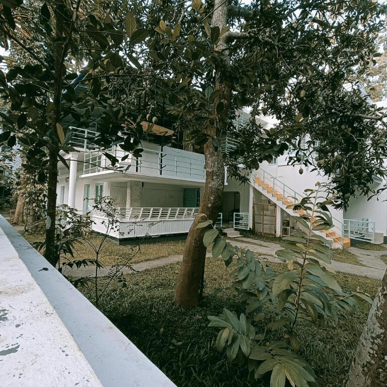 Варкала: Molly's Hostel