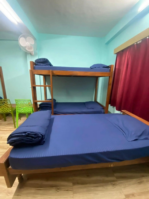 Массури: The Himalayan Hostel