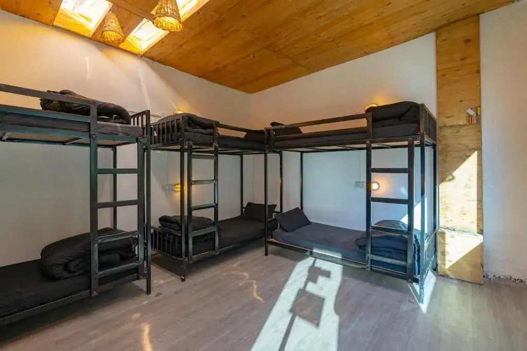 Jungle Hostel Kasol by Whoopers — фото 3