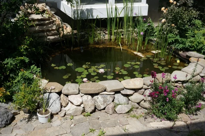 Судак: Guest House Yakor