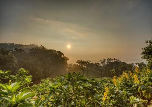 Кунур: De Rock Jungle Living Resort