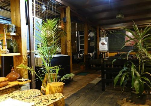 Кунур: De Rock Jungle Living Resort