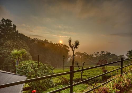 Кунур: De Rock Jungle Living Resort