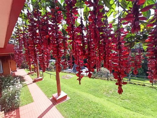Кунур: De Rock Jungle Living Resort
