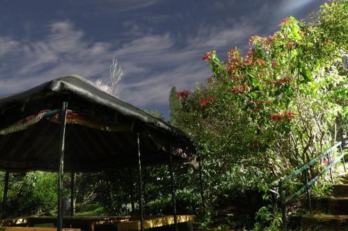Кунур: De Rock Jungle Living Resort