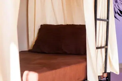 Кангра: Hobo Hostel