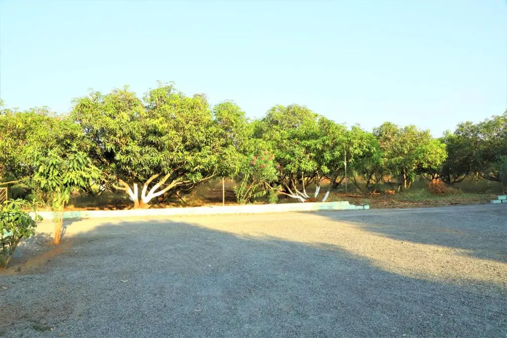 Сазан: Wilderness Camp 200mtr from Devaliya Park