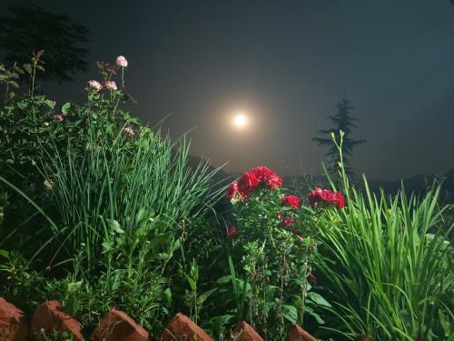 Банджар: Ishan Log Huts- Boutique Homestay- since 1999
