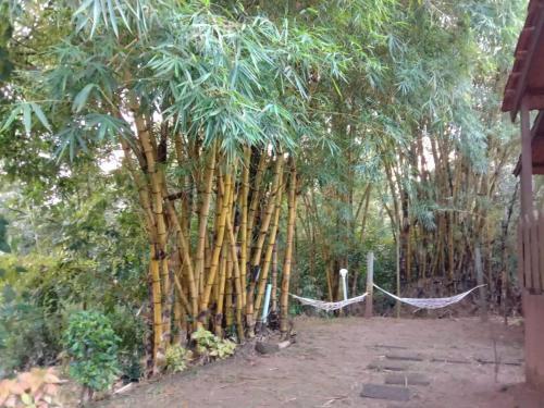 Кушалнагар: Coorg Amodhini