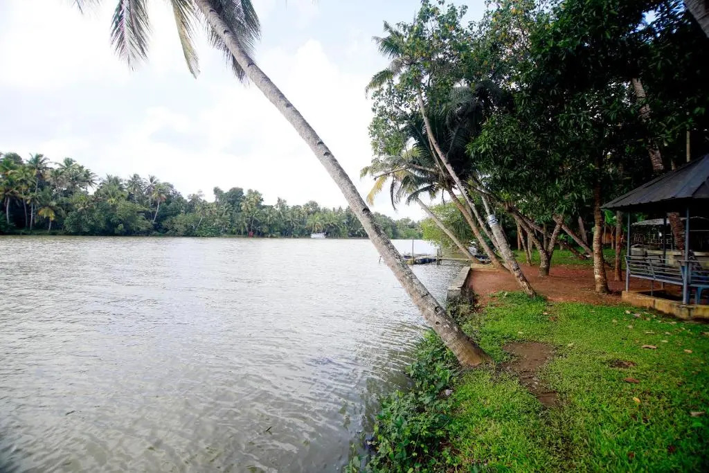 Каппил: Munroe Lagoons