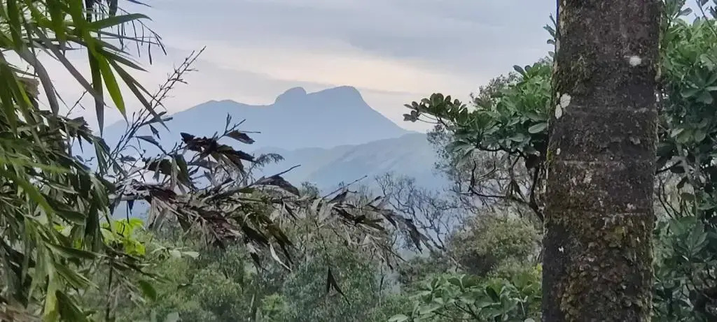 Кушалнагар: Jade Hills Coorg