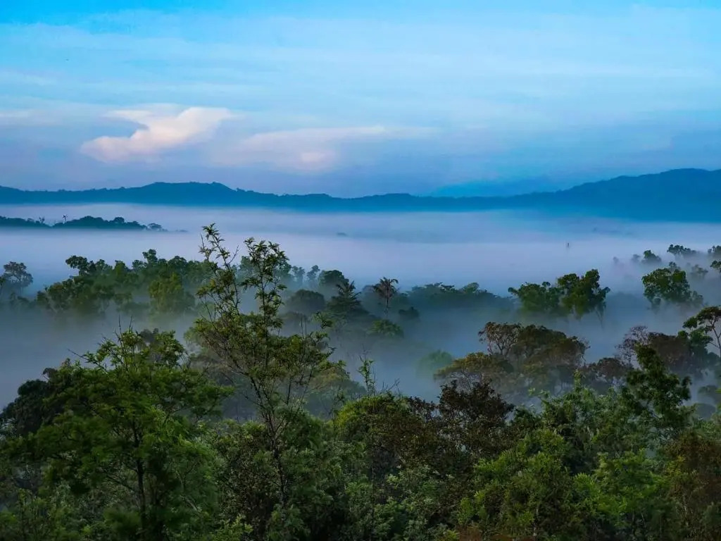 Кушалнагар: Jade Hills Coorg