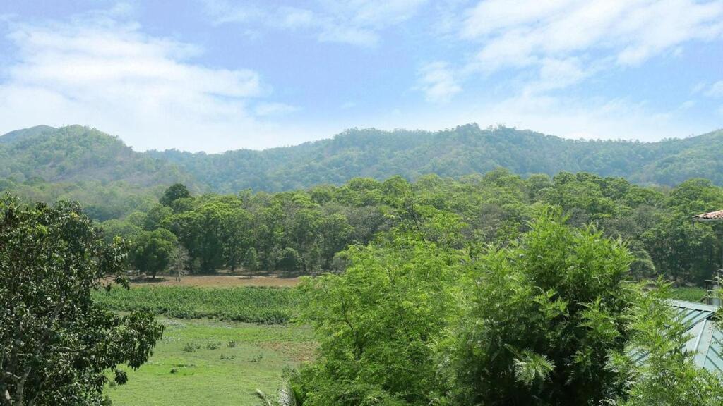 Кумили: Hill Green