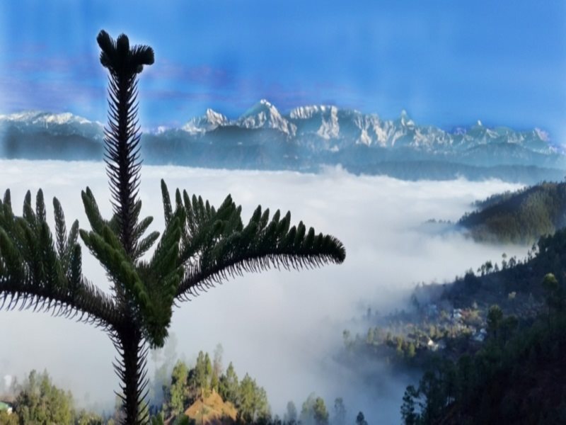 Раникхет: Pratiksha Himalayan Retreat