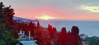 Алупка: Гостевой Дом Кедр - Запад