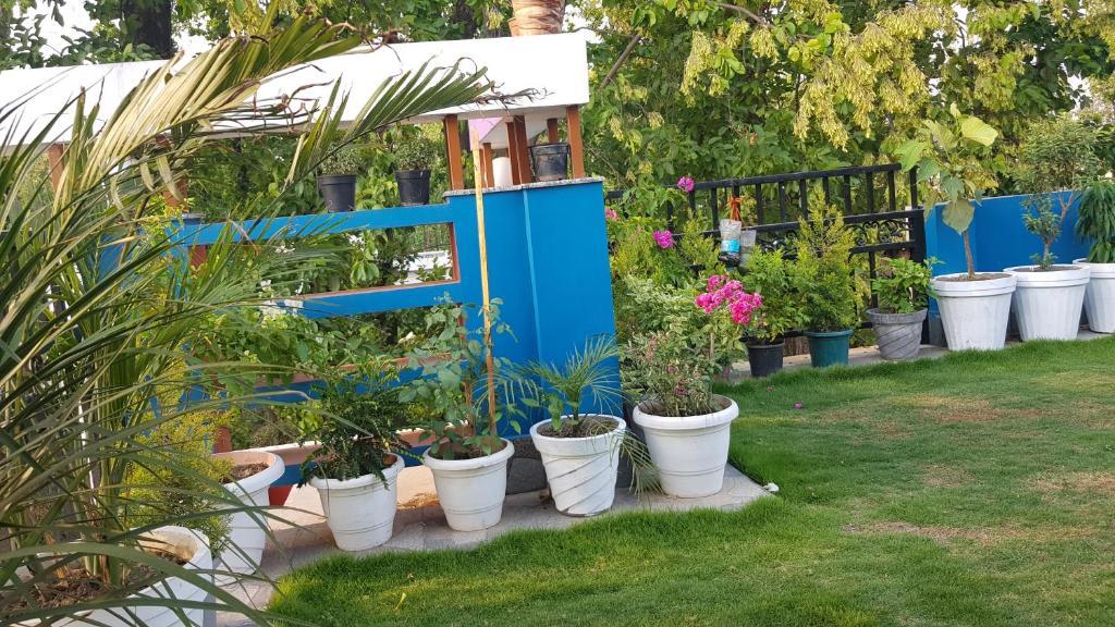 Дехрадун: Forest Inn Home stay