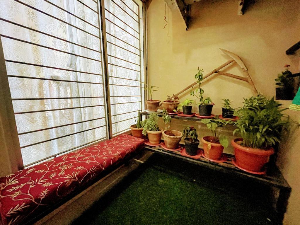 Мангалур: Artistic 2bhk in the Downtown Close To Everything