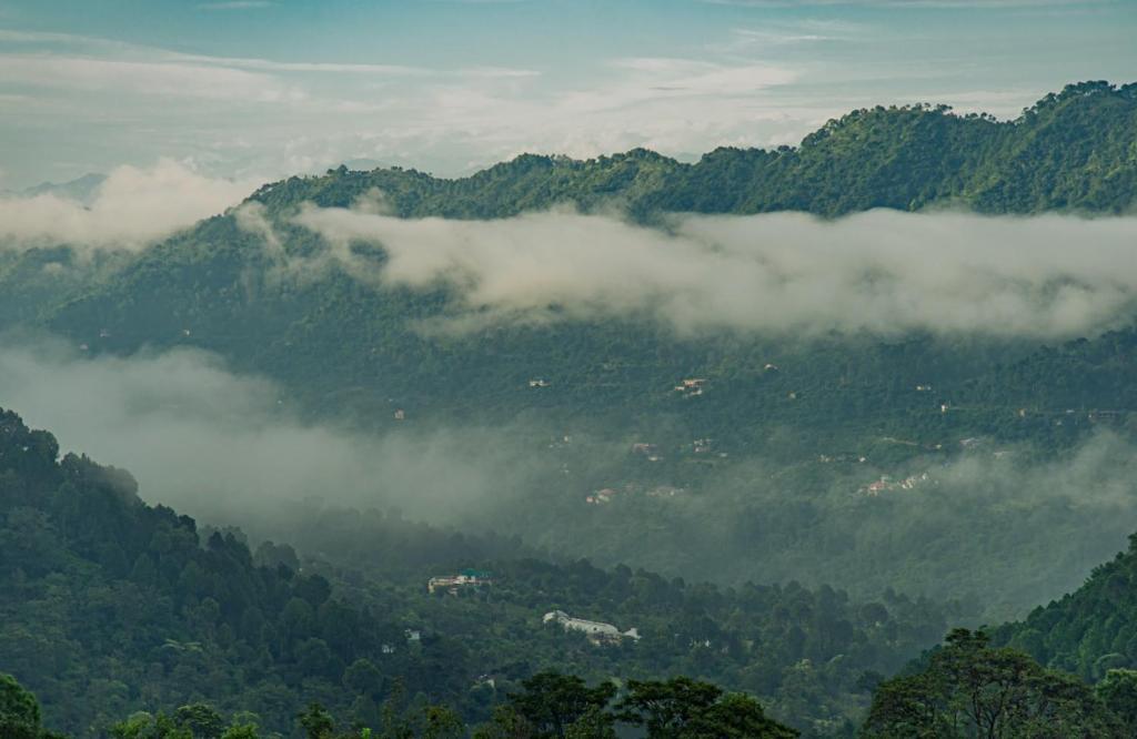 Дхарампур: 3 BHK Serviced Apartment Toy Train Lawn Kasauli