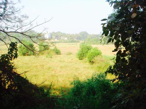 Кандолим: Luxurious 2BHK for Ultimate Holiday Experience in Goa, Candolim North Goa