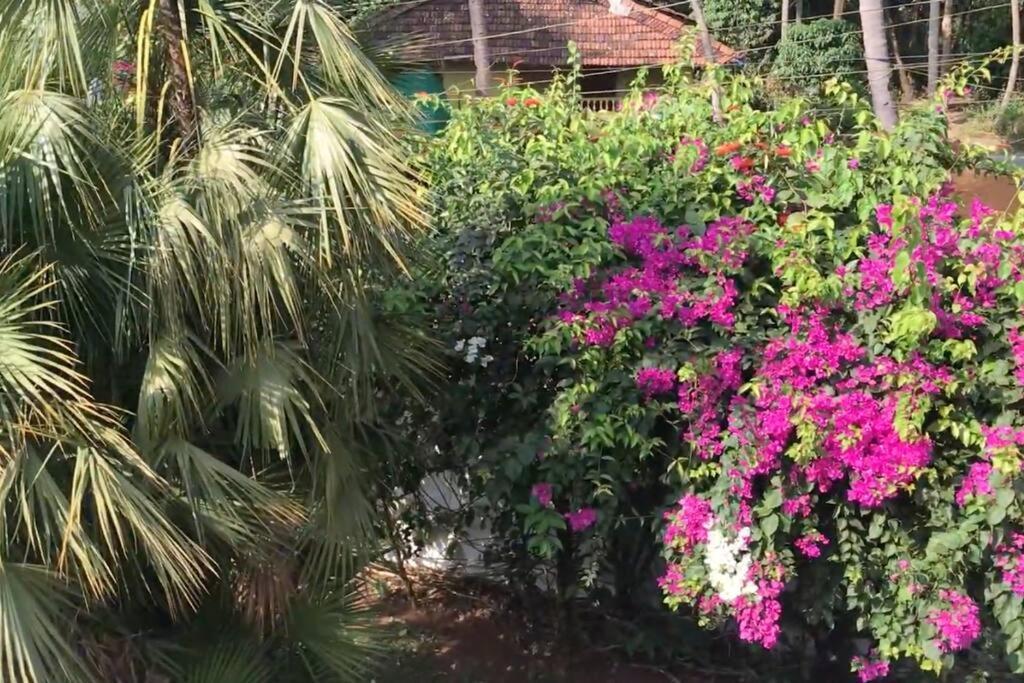 Южный Гоа: 2BHK Pool Facing Beachside Luxury Homestay In South Goa