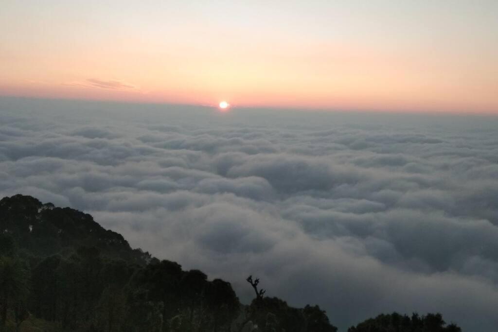 Кангра: Hidden Heaven Homestay (HHH)
