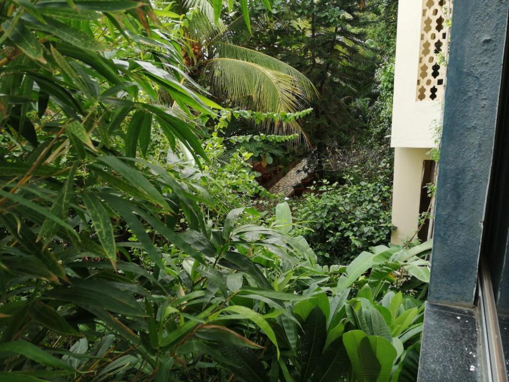Путтапартхи: Sai Nilayam studio flat