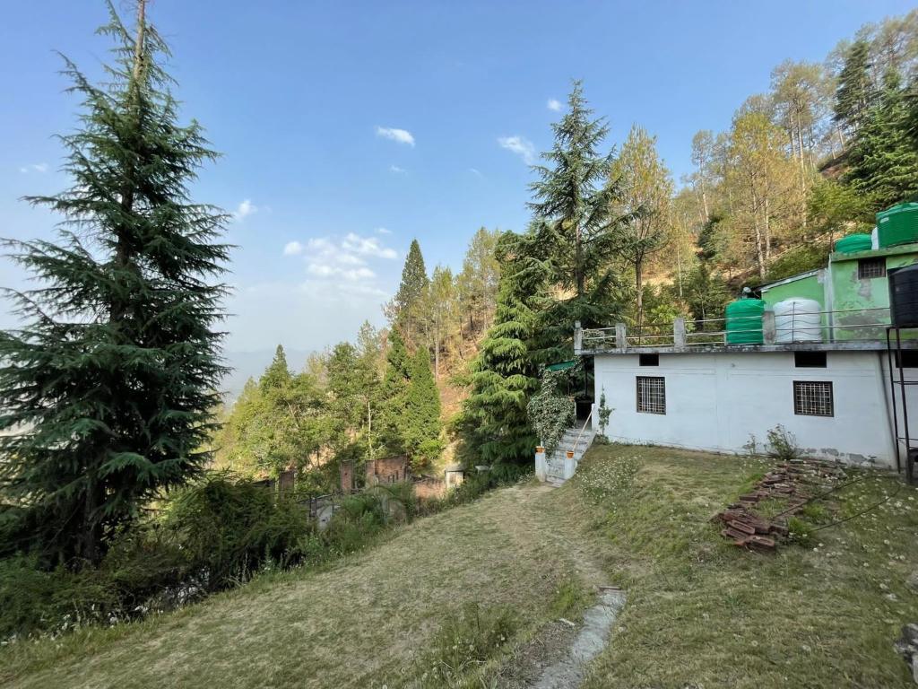 Раникхет: Green garden homestay