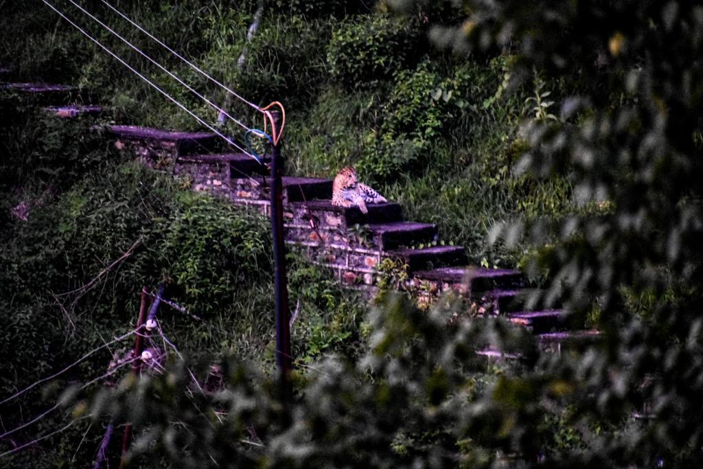 Сукха: B2 Guest House