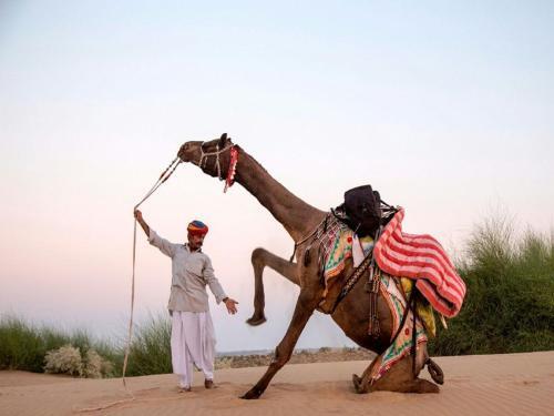 Джайсалмер: Rajwadi Desert Home Stay