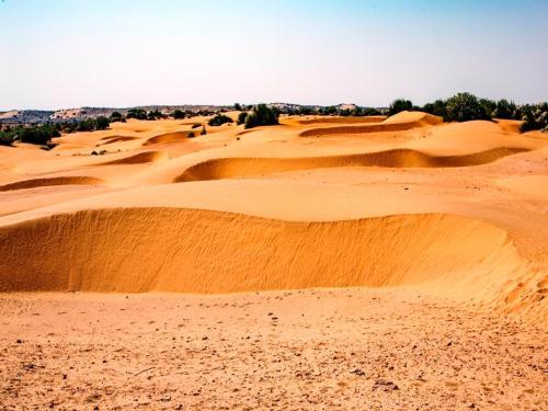 Джайсалмер: Rajwadi Desert Home Stay