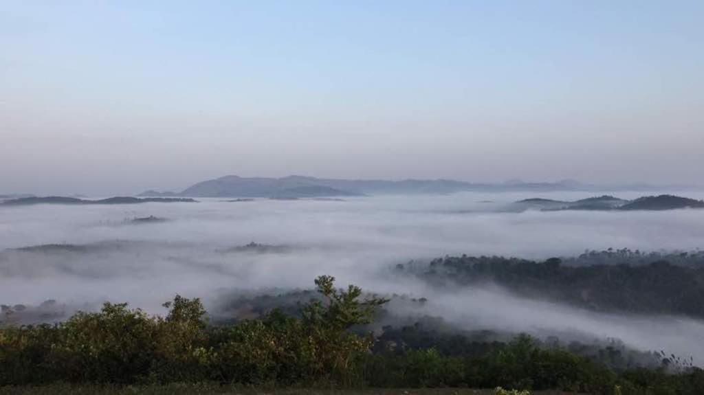 Sakleshpur: Vamoose Stream Edge