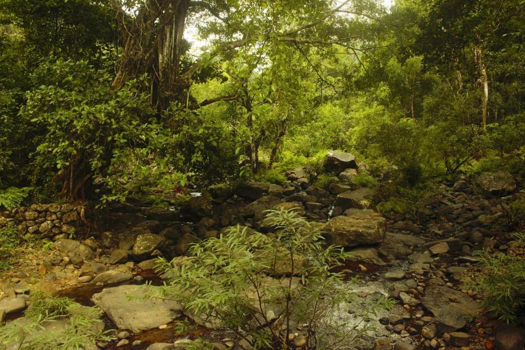 Велламундра: Thondar Homestays